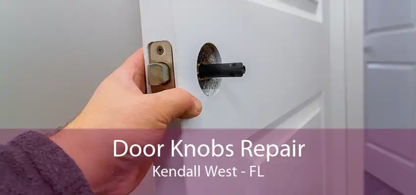 Door Knobs Repair Kendall West - FL